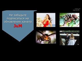 porn ого какие гипно грудь 12 размера натуральная не порноне сексне эротика porn