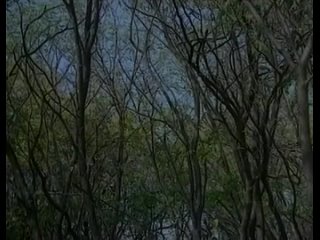 porn белоснежка и 7 гномов 18 сказка для взрослых porn