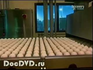 porn как заниматься сексом при беременности porn