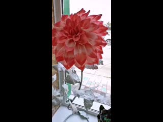 porn in vid 42760602 010414 518 mp4 porn