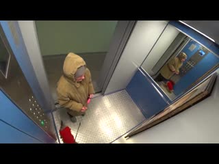 porn всенародная любовь эксперимент с портретом путина в лифте porn