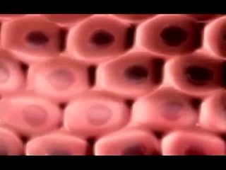 porn экстендер увеличение полового члена без операции porn