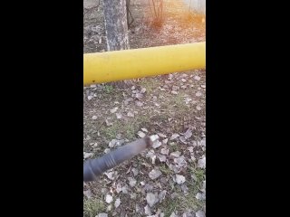 porn вечерняя самостоятельная тренироа porn