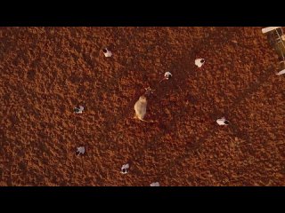 porn thai engal thamizh naadey 4k glimpse nayanthara vijay sethupathi santhosh narayanan srs mp4 porn