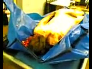 porn жесть что да как в морге такового вы ещё не ивдели нигде жесть это не xxx porn