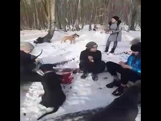 porn идеальная прослушка электроошейник сила porn