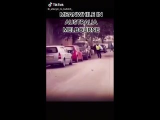 porn очередной герой новой нормальности в австралии пытается заставить человека надеть намордник смешно porn