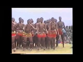 porn daddys little naked zulu swazi black girls porn
