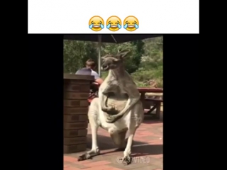 porn иички ля ля ля ля ляяя porn