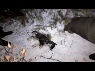 porn челябинск парк гагарина предположительно массовое молодые и секс горячее porn
