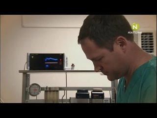 porn and the cheetah diaries s02e03 rus mp3 satrip xvid 2009 porn