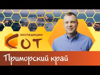 porn как приручить дракона образование приморского края porn