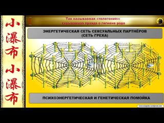 porn западное общество как генетическая помойка фрагмент передачи я дмитриева аспекты безопасности так называемая porn