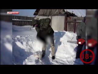 porn в башкирии мусульманские живодеры отрубили кролику голову в честь дня всех влюбленных porn
