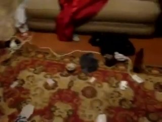 porn привет сашавписка у баги вальштейна porn