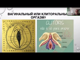 porn женский оргазм часть 2 вагинальный и клиторальный оргазмы porn