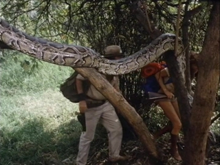 porn the treasure of the amazon сокровища амазонки приключения реж рене кардона мл мексика сша 1985 г porn