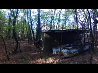 porn частный дом в припяти осень в чернобыле 2016 porn