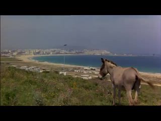 porn знак стрельца i skyttens tegn denmark1978 porn