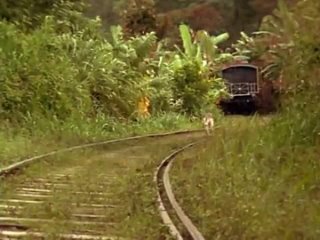 porn фильм вторая книга джунглей маугли и балу the second jungle book mowgli baloo1997сша porn