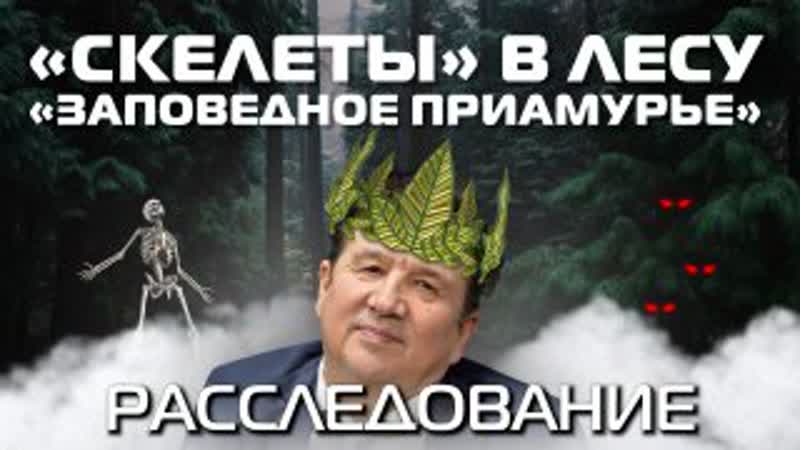 porn аврораинсайд скелеты в лесу заповедное приамурье porn