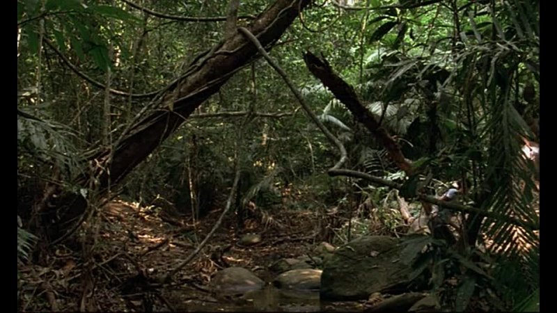 porn blissfully yours apichatpong weerasethakul 2002 porn