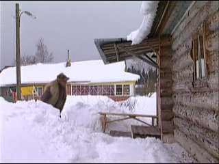 porn особенности русской бани 18 год выхода 1999 комедия эротика porn