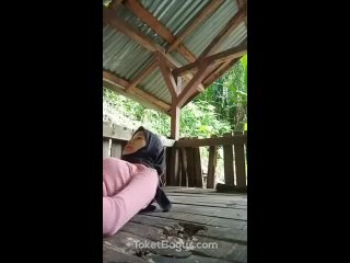 porn viral jilbab abg mesum ngentot di pos ronda mp4 porn