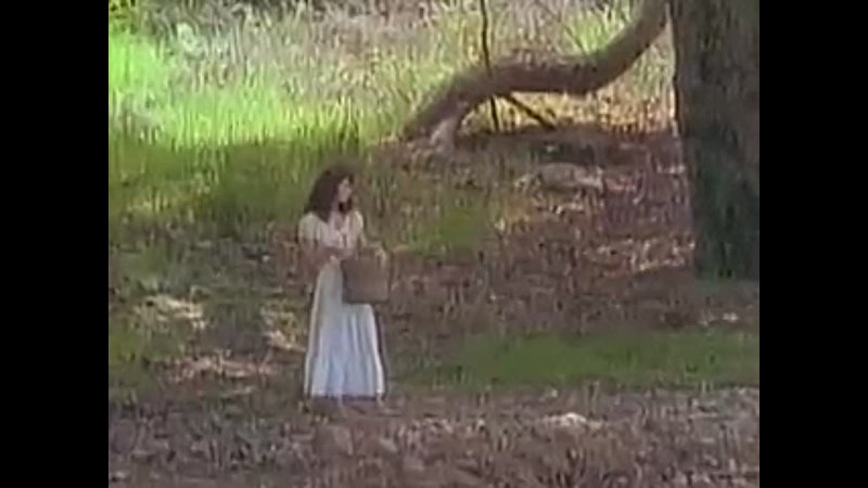 porn эротические приключения трех мушкетеров erotic adventures of the three musketeers 1992 porn