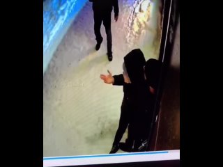 porn ценный иностранный специалист хотел молодые женщину в спб porn